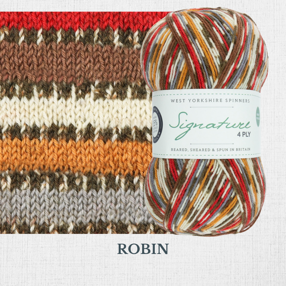 Signature 4 ply - Collection Noël par West Yorkshire Spinners - St Denis