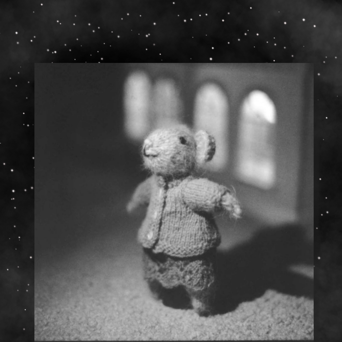 The Knitted House - The Thief of Small Miseries