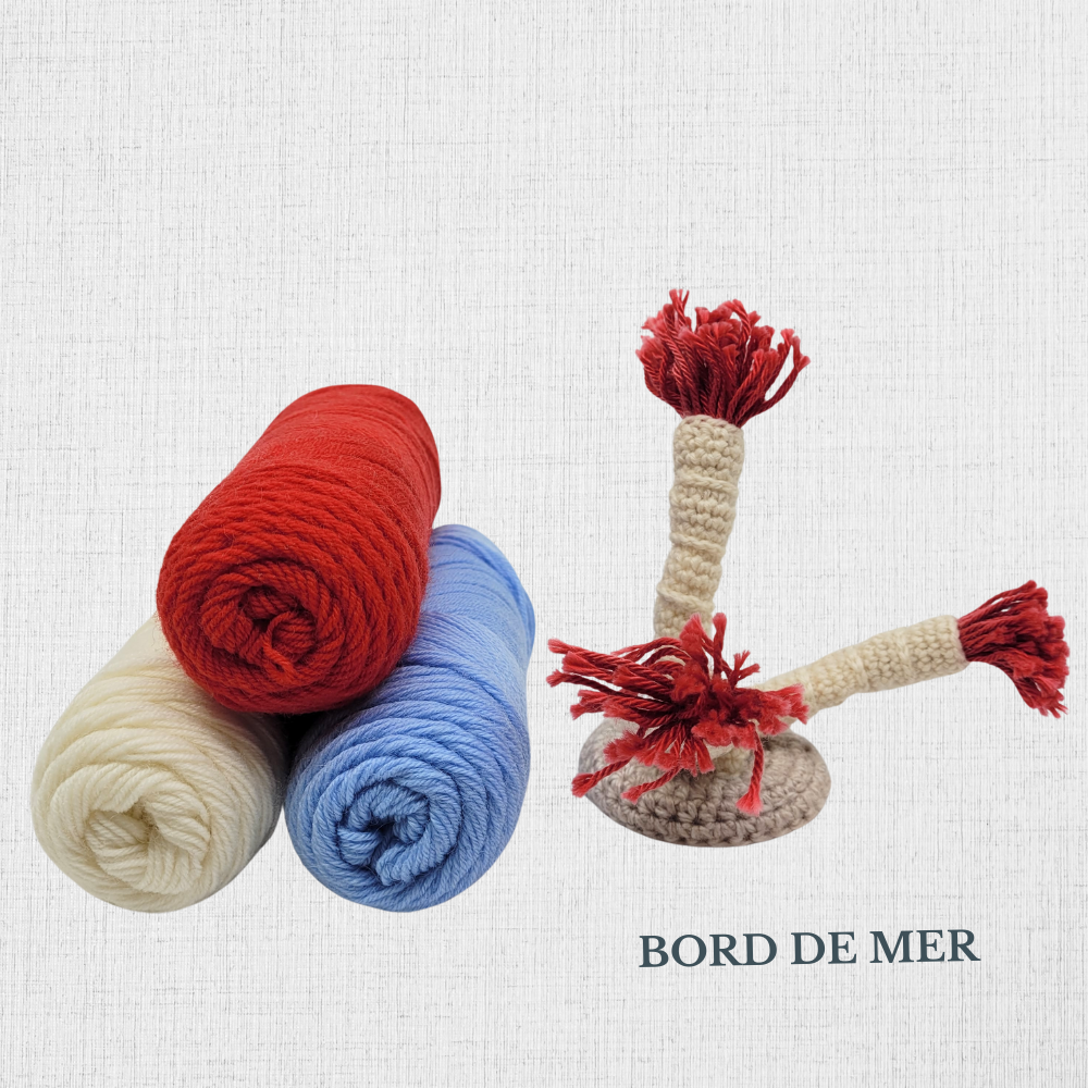 KIT tricot Chaussettes - patron de Summer Lee SLIP RIB SOCKS