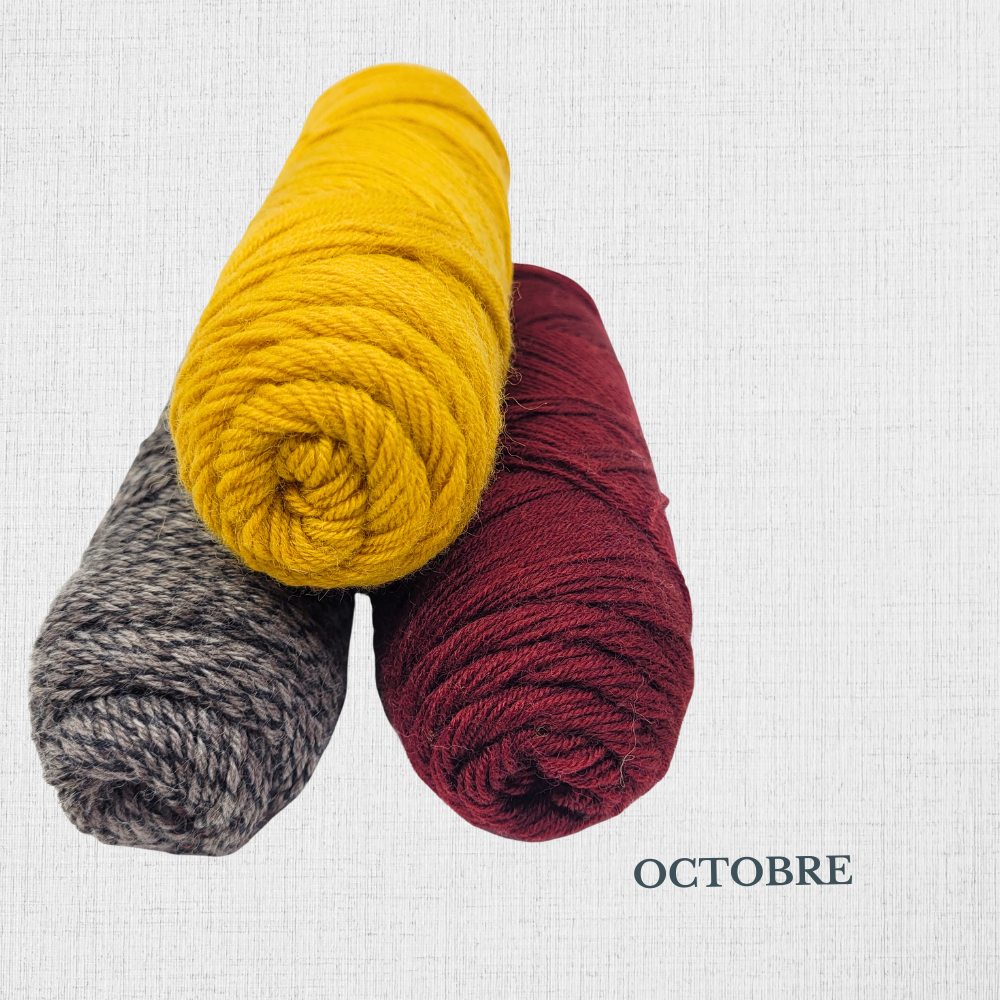 KIT tricot Chaussettes - patron de Summer Lee SLIP RIB SOCKS