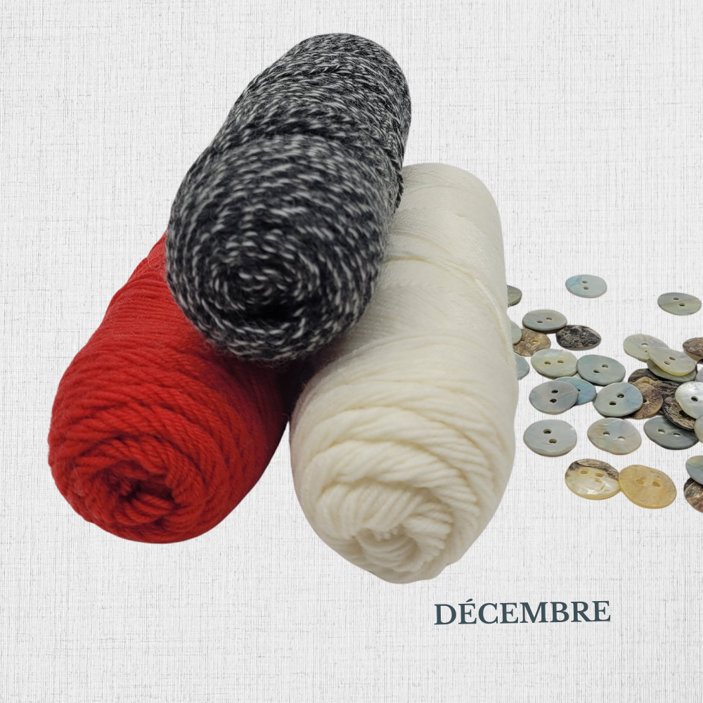 KIT tricot Chaussettes - patron de Summer Lee SLIP RIB SOCKS