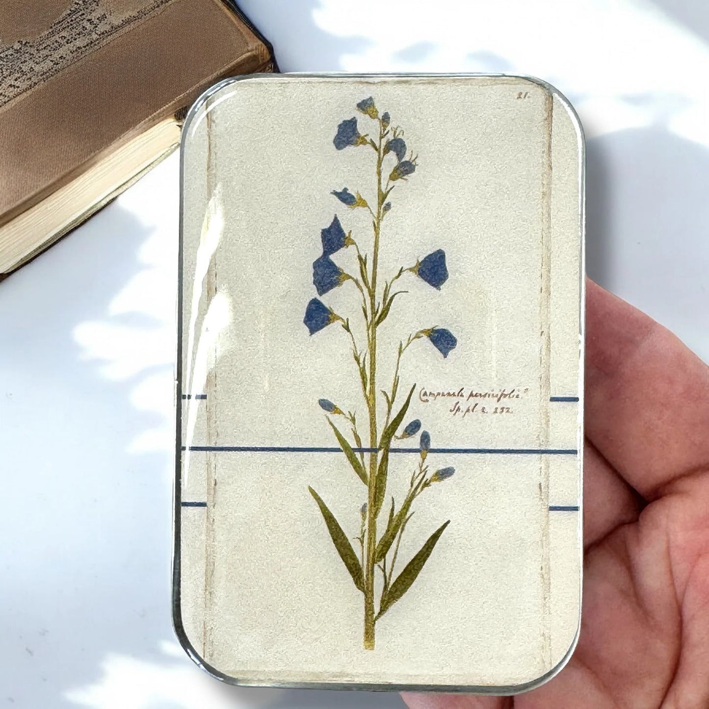 Large Enameled Tins by Firefly Notes