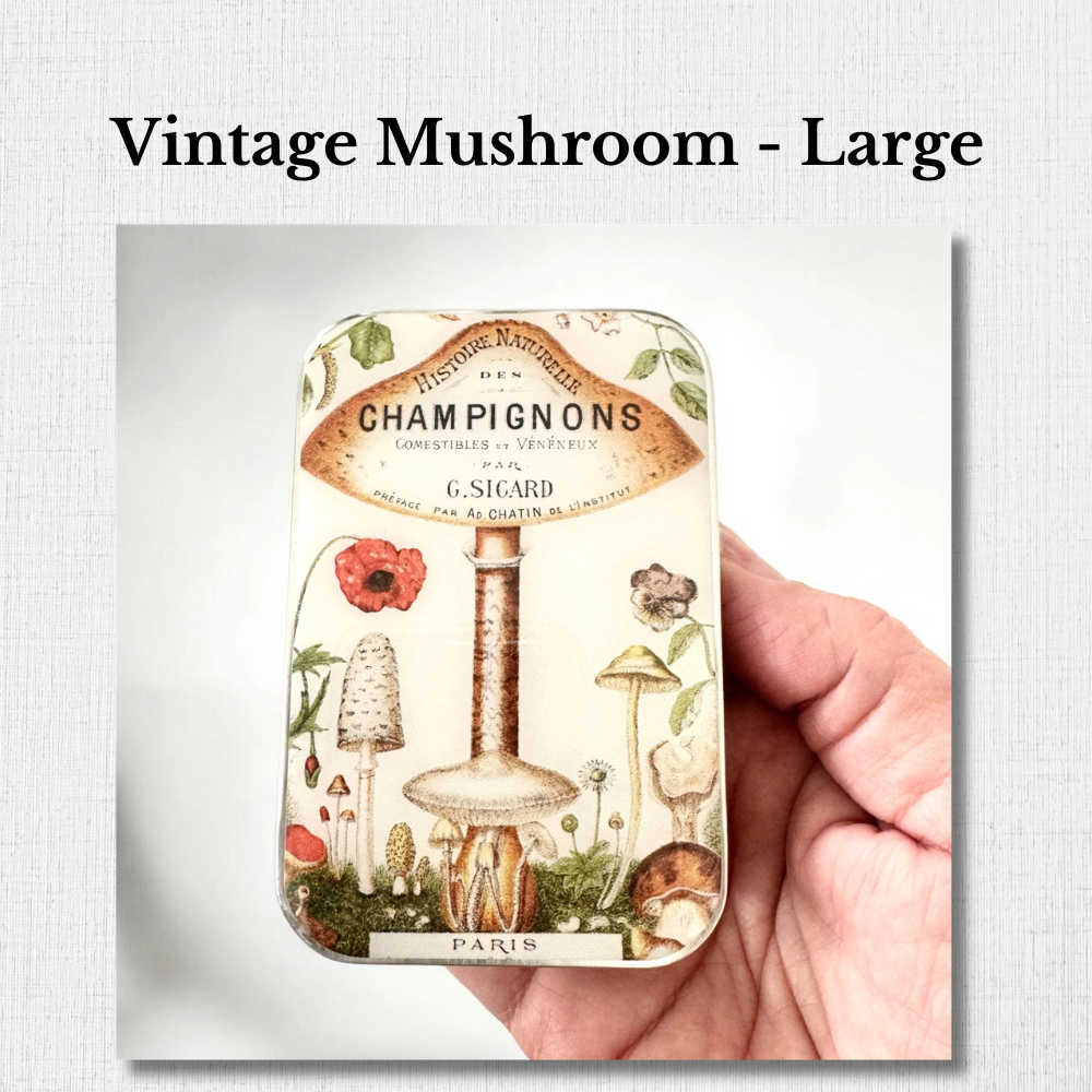 Les Boîtes Émaillées par Firefly Notes