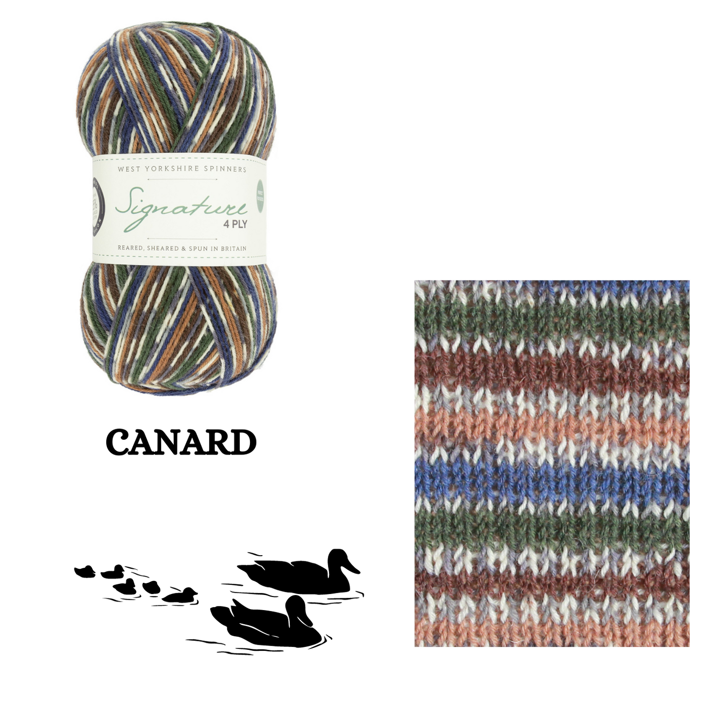 West Yorkshire Spinners - Signature 4 ply - Les oiseaux de nos campagne