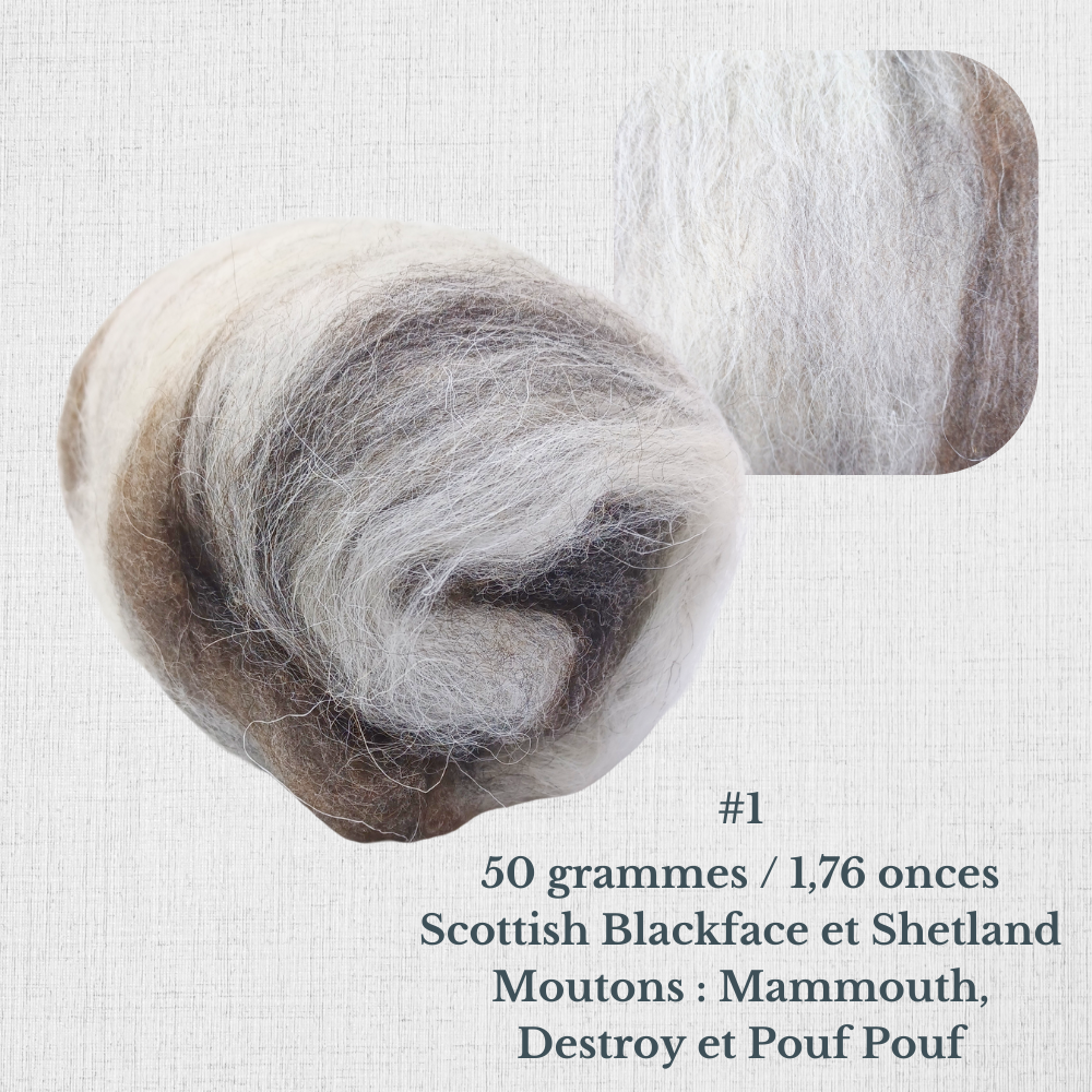 Carded wool for spinning by Le Mouton Polaire