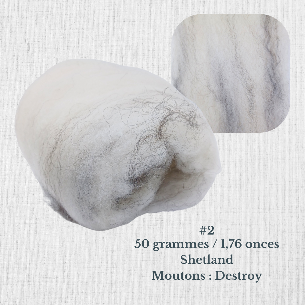 Carded wool for spinning by Le Mouton Polaire