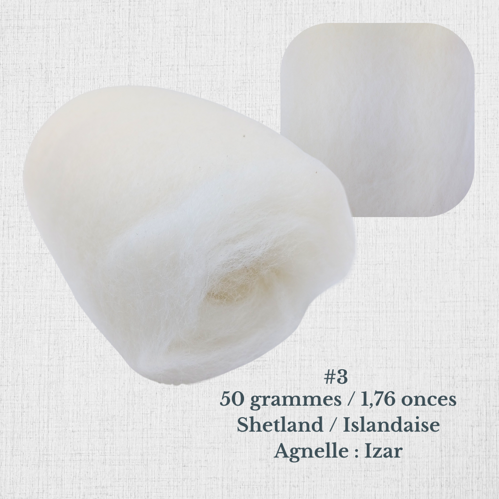 Carded wool for spinning by Le Mouton Polaire