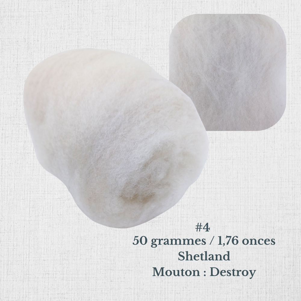 Carded wool for spinning by Le Mouton Polaire