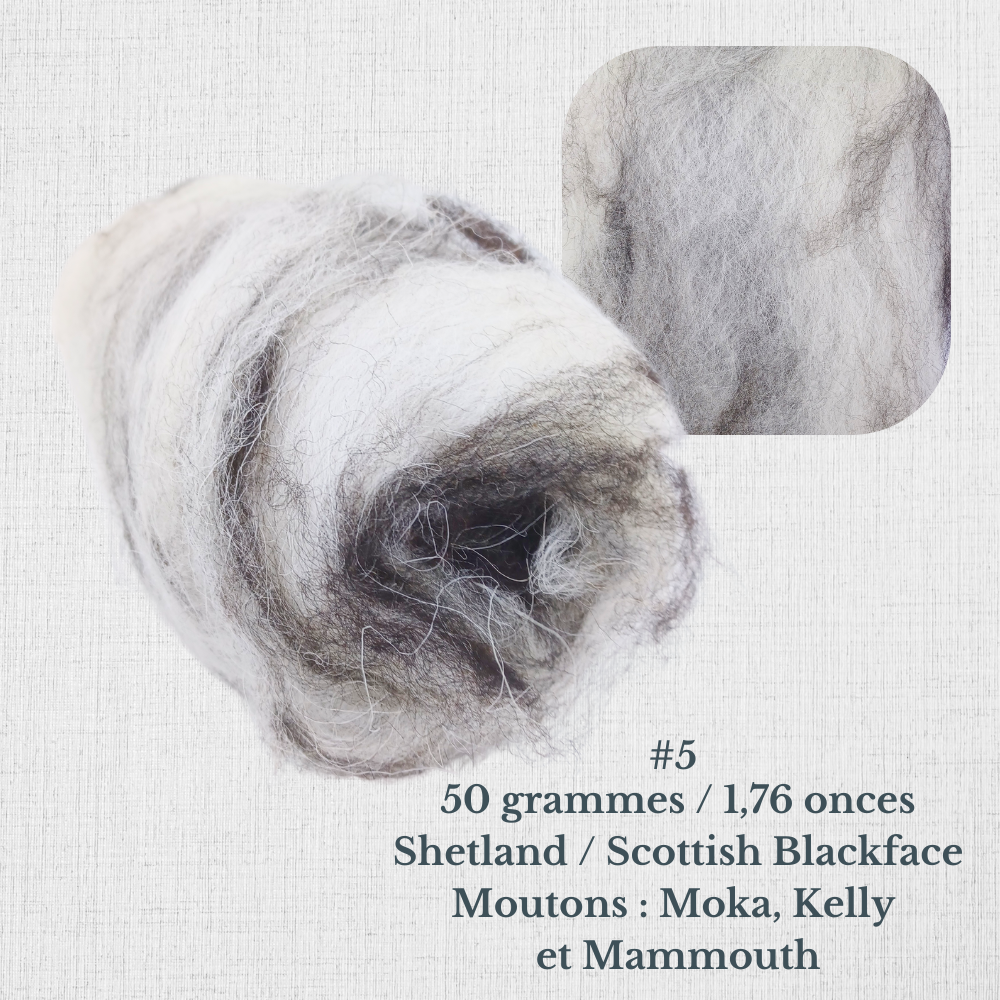 Carded wool for spinning by Le Mouton Polaire
