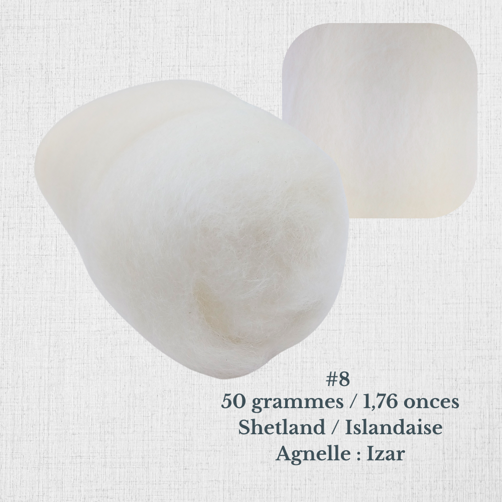 Carded wool for spinning by Le Mouton Polaire