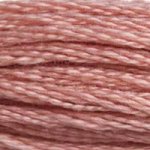 DMC fil de coton à broder (8m) - DMC Cotton Embroidery Floss (8,7y)  - Rose / Terracotta