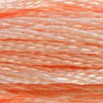 DMC fil de coton à broder (8m) - Orange - DMC Cotton Embroidery Floss (8,7y) - Orange