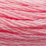 DMC fil de coton à broder (8m) - DMC Cotton Embroidery Floss (8,7y)  - Rose / Terracotta