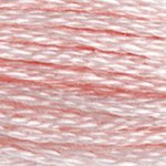 DMC fil de coton à broder (8m) - DMC Cotton Embroidery Floss (8,7y)  - Rose / Terracotta