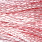 DMC fil de coton à broder (8m) - DMC Cotton Embroidery Floss (8,7y)  - Rose / Terracotta