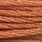 DMC fil de coton à broder (8m) - Marron - DMC Cotton Embroidery Floss (8,7y) - Brown