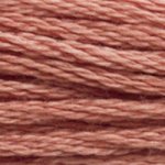 DMC fil de coton à broder (8m) - Marron - DMC Cotton Embroidery Floss (8,7y) - Brown