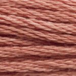 DMC fil de coton à broder (8m) - Marron - DMC Cotton Embroidery Floss (8,7y)  - Brown