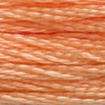 DMC fil de coton à broder (8m) - Orange - DMC Cotton Embroidery Floss (8,7y)  - Orange