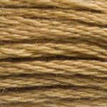 DMC fil de coton à broder (8m) - Marron - DMC Cotton Embroidery Floss (8,7y) - Brown