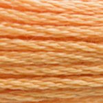 DMC fil de coton à broder (8m) - Orange - DMC Cotton Embroidery Floss (8,7y) - Orange