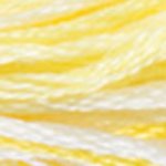 DMC fil de coton à broder (8m) - Panachés - DMC Cotton Embroidery Floss (8,7y) Colors Variations