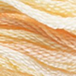 DMC fil de coton à broder (8m) - Panachés - DMC Cotton Embroidery Floss (8,7y) Colors Variations