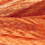 DMC fil de coton à broder (8m) - Panachés - DMC Cotton Embroidery Floss (8,7y) Colors Variations