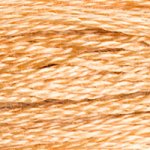 DMC fil de coton à broder (8m) - Marron - DMC Cotton Embroidery Floss (8,7y)  - Brown