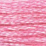 DMC fil de coton à broder (8m) - DMC Cotton Embroidery Floss (8,7y)  - Rose / Terracotta