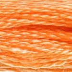 DMC fil de coton à broder (8m) - Orange - DMC Cotton Embroidery Floss (8,7y)  - Orange