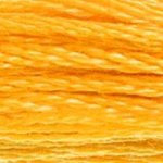 DMC fil de coton à broder (8m) - Orange - DMC Cotton Embroidery Floss (8,7y) - Orange