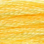 DMC fil de coton à broder (8m) - Jaune - DMC Cotton Embroidery Floss (8,7y)  - Yellow