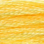 DMC fil de coton à broder (8m) - Jaune - DMC Cotton Embroidery Floss (8,7y)  - Yellow