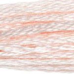 DMC fil de coton à broder (8m) - DMC Cotton Embroidery Floss (8,7y)  - Rose / Terracotta