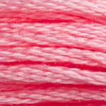 DMC fil de coton à broder (8m) - DMC Cotton Embroidery Floss (8,7y)  - Rose / Terracotta