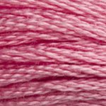 DMC fil de coton à broder (8m) - DMC Cotton Embroidery Floss (8,7y)  - Rose / Terracotta