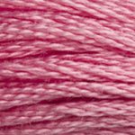 DMC fil de coton à broder (8m) - DMC Cotton Embroidery Floss (8,7y)  - Rose / Terracotta