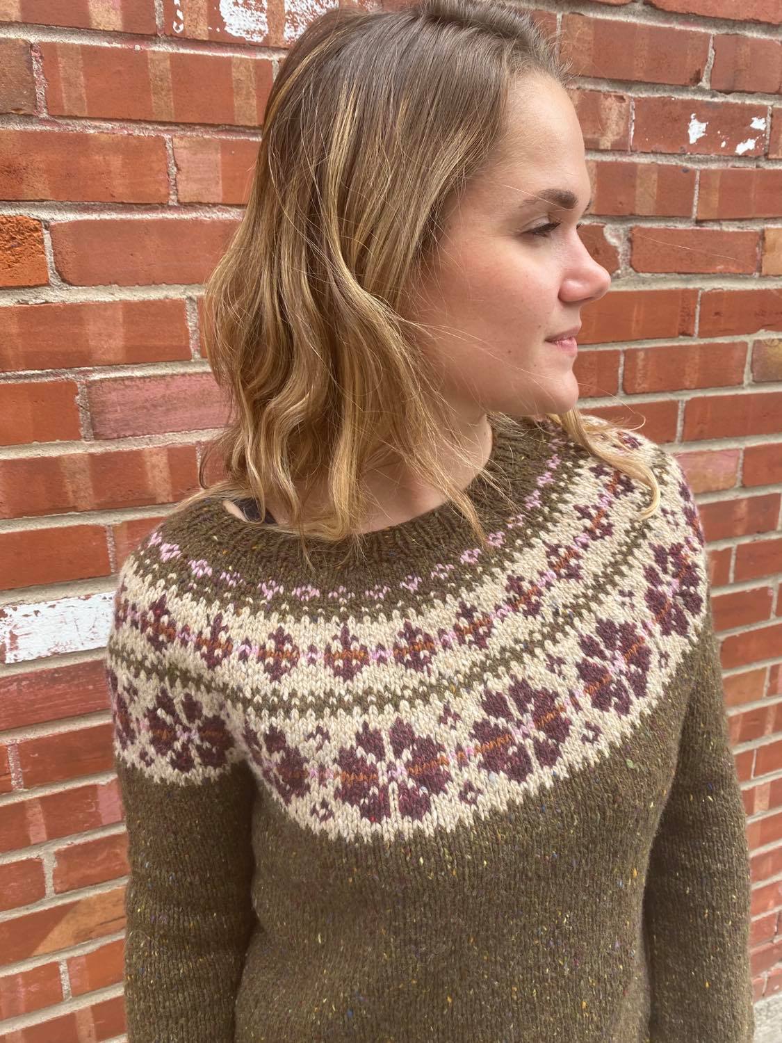 Jacquard Modèle Gratuit Pull Femme Aiguille Circulaire Patron