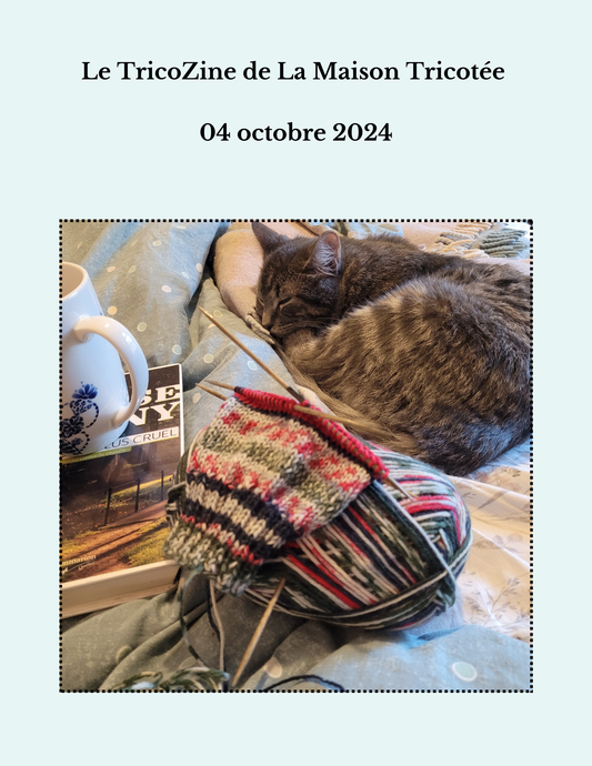 Le TricoZine du 04 octobre 2024