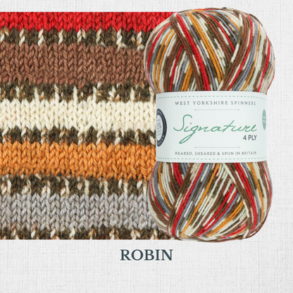 Signature 4 ply - Collection Noël par West Yorkshire Spinners - St Denis