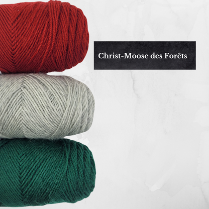 Kit des chaussettes ~ "Christ-Moose Socks" de Christine Brie