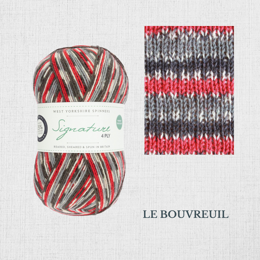 Signature 4 ply - Collection OISEAUX par West Yorkshire Spinners