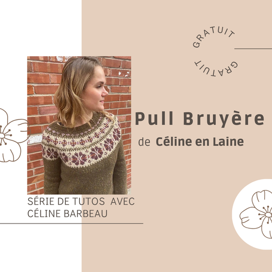 Cours en ligne GRATUIT - Le Pull Bruyère de Céline Barbeau