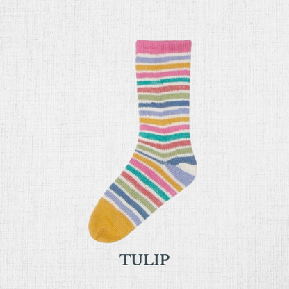 Fil à chaussettes  "Evolution -Cotton Sock" par Estelle