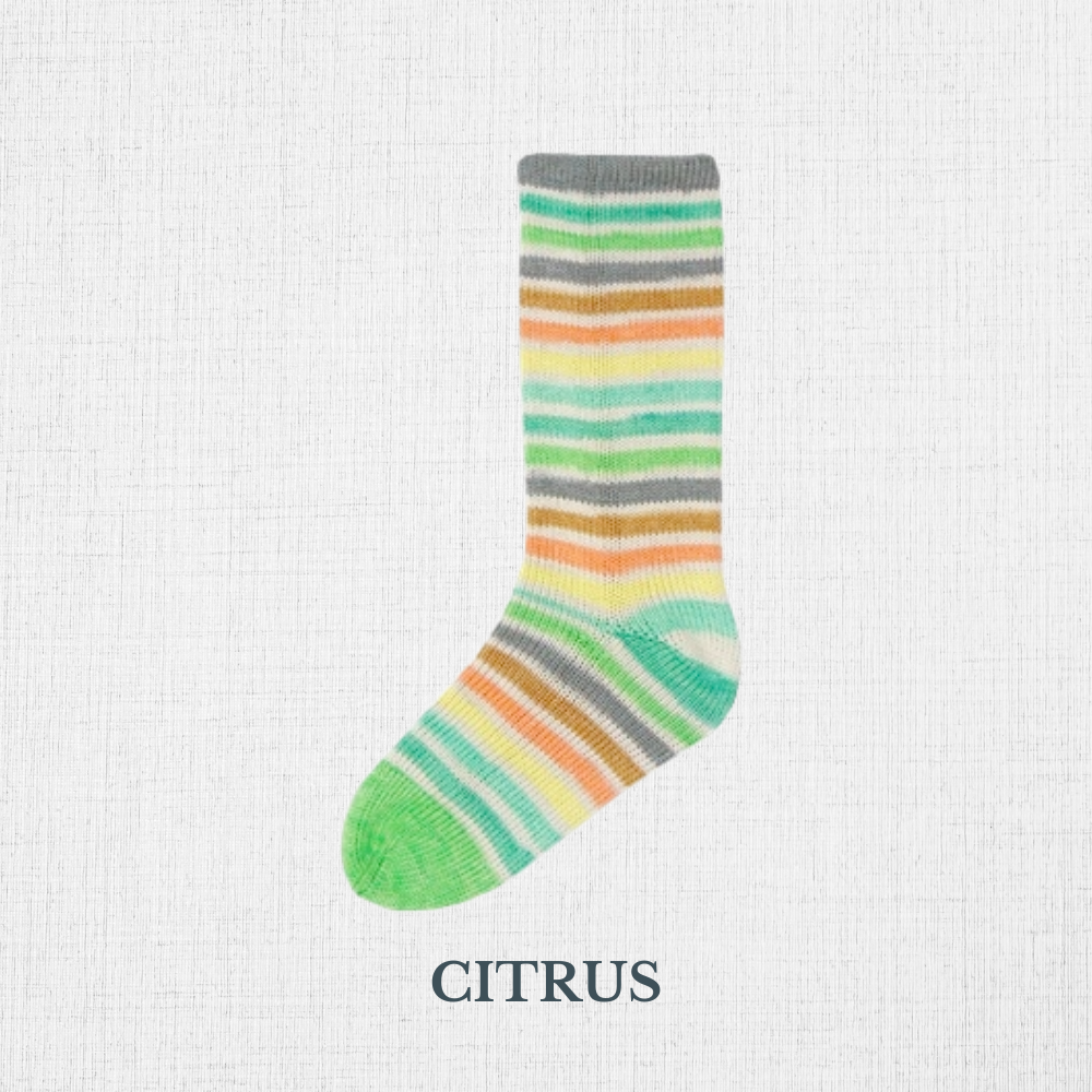 Fil à chaussettes  "Evolution -Cotton Sock" par Estelle