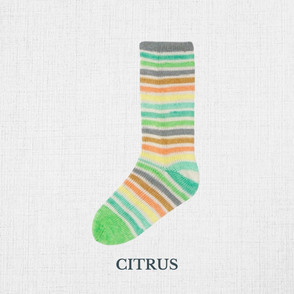 Fil à chaussettes  "Evolution -Cotton Sock" par Estelle