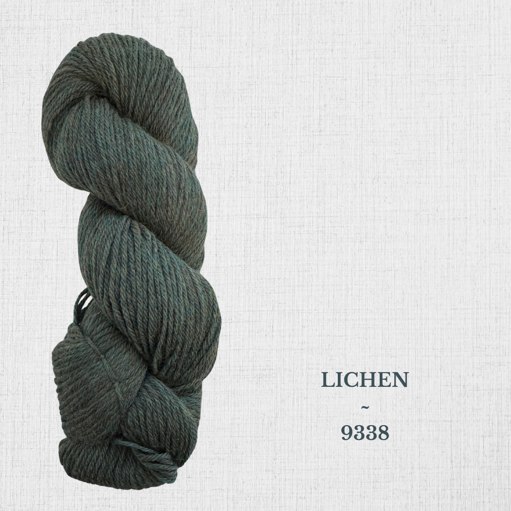 Cascade 220 par Cascade - Laine péruvienne worsted