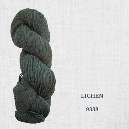 Cascade 220 par Cascade - Laine péruvienne worsted