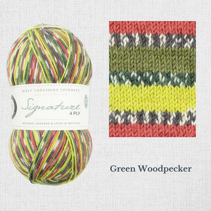 Signature 4 ply - Collection OISEAUX par West Yorkshire Spinners